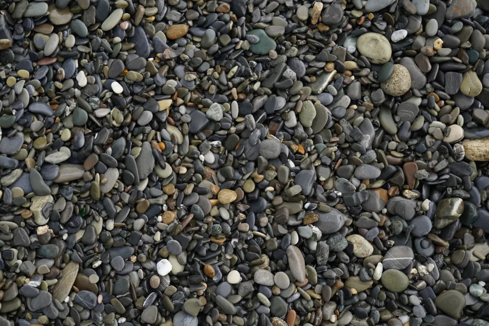 Detailed view of colorful pebbles and stones on a rocky beach.