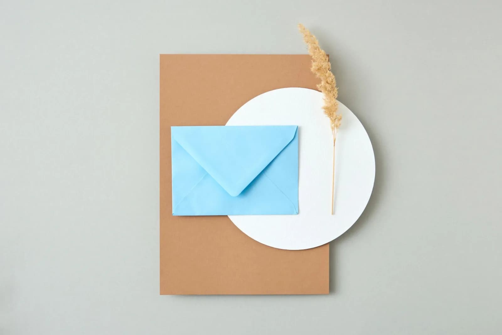 Flat lay image of a blue envelope on paper with a dry plant. Perfect for creative projects.