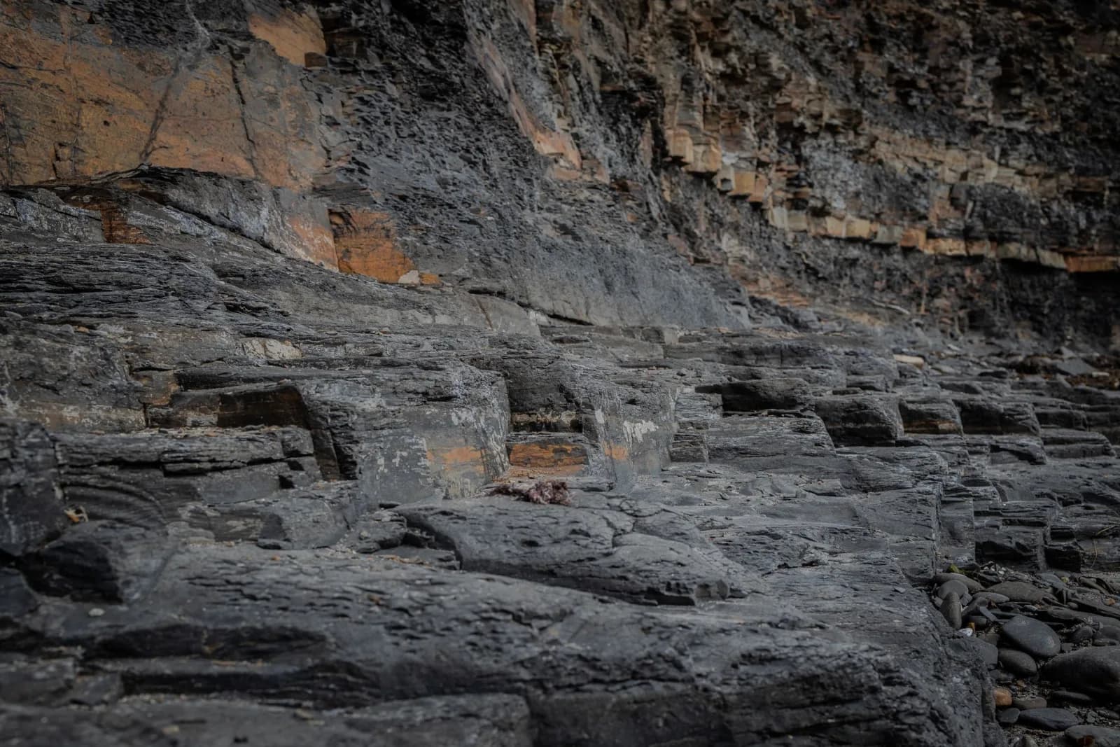 A textured view of rocky cliff layers showcasing geological formations.