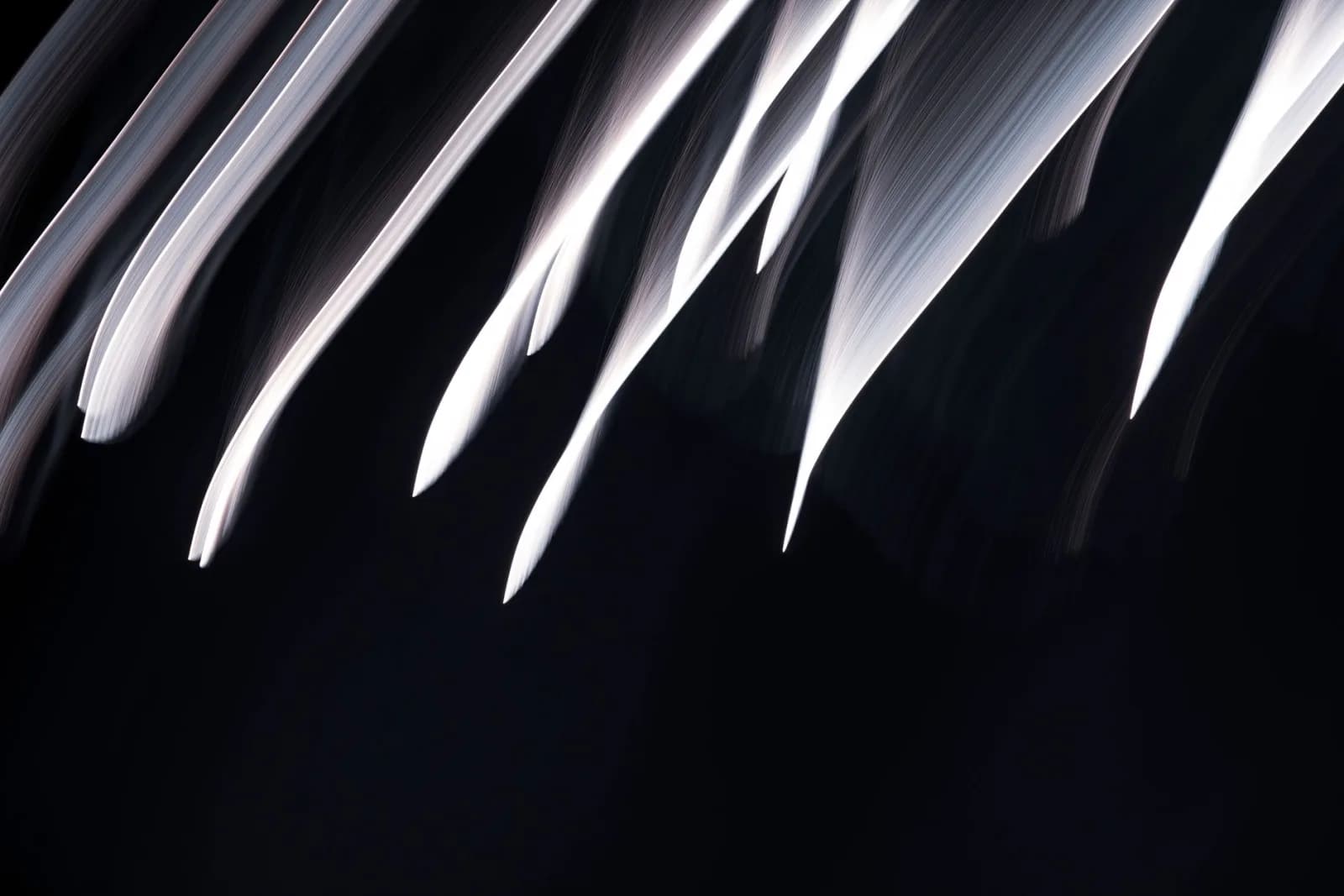 Abstract motion capture of light streaks with dynamic flow on a dark background.