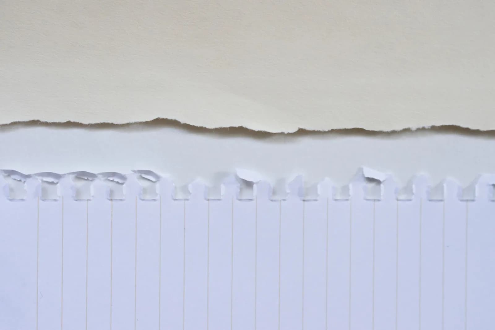 Detailed view of a torn paper edge on a white background, showcasing texture and pattern.