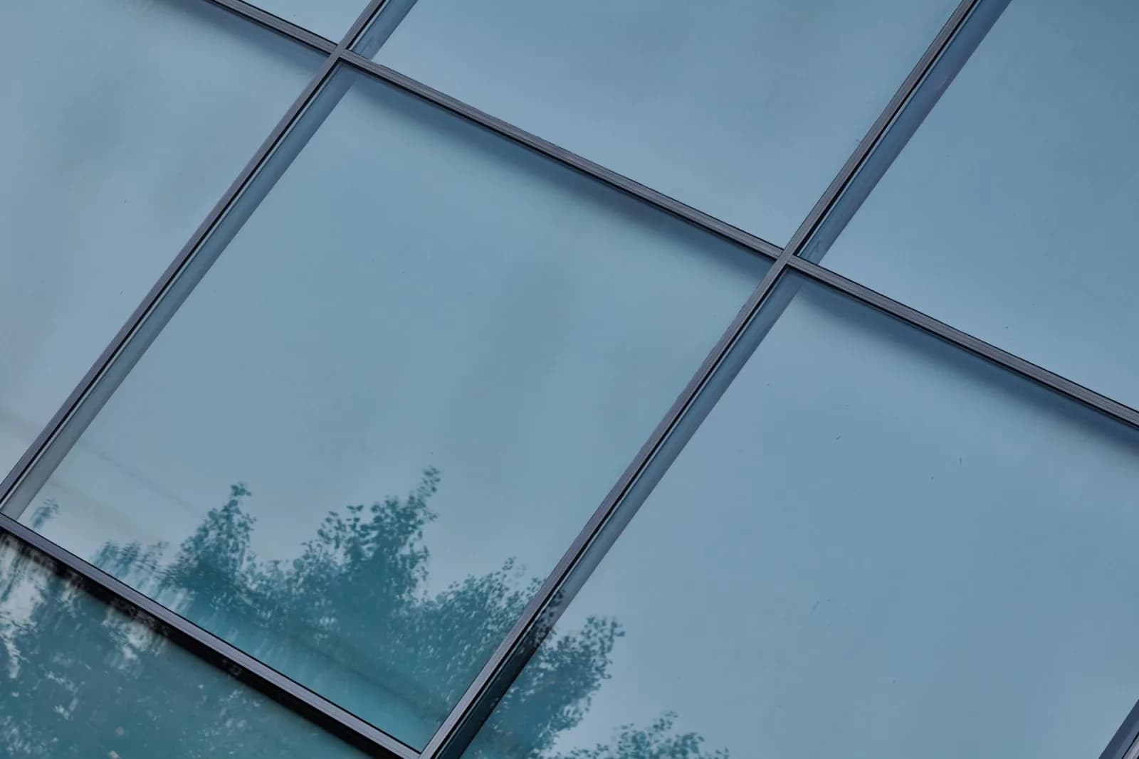 Reflective glass facade of a building with tree silhouettes.