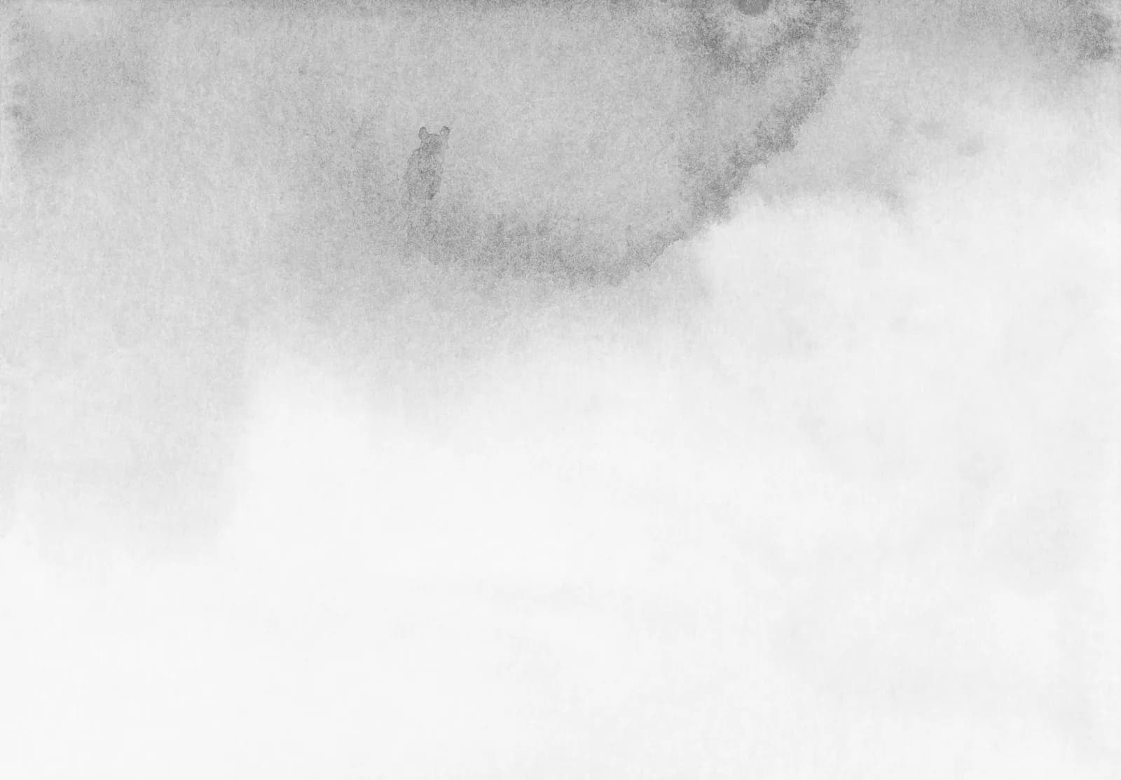 Monochrome abstract watercolor texture with dissolved ink patterns and rough edges.