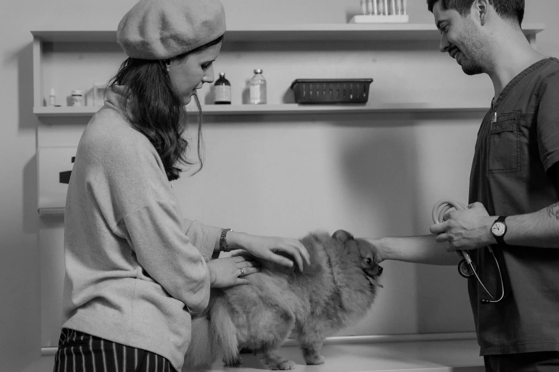 Sites para clínicas veterinárias: funcionalidades esperadas pelos donos de animais