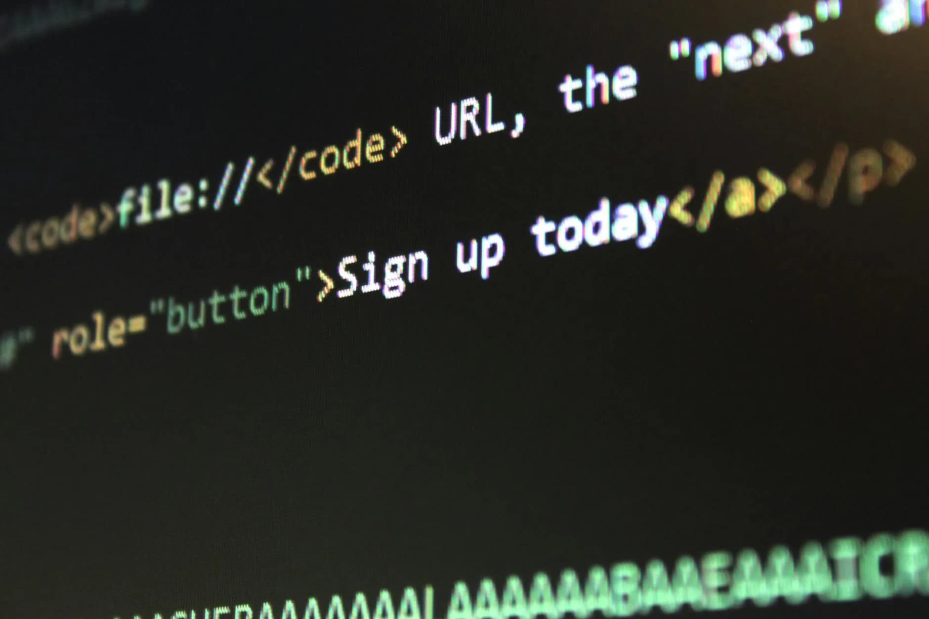 WordPress vs. site personalizado: o que é melhor para o seu negócio?