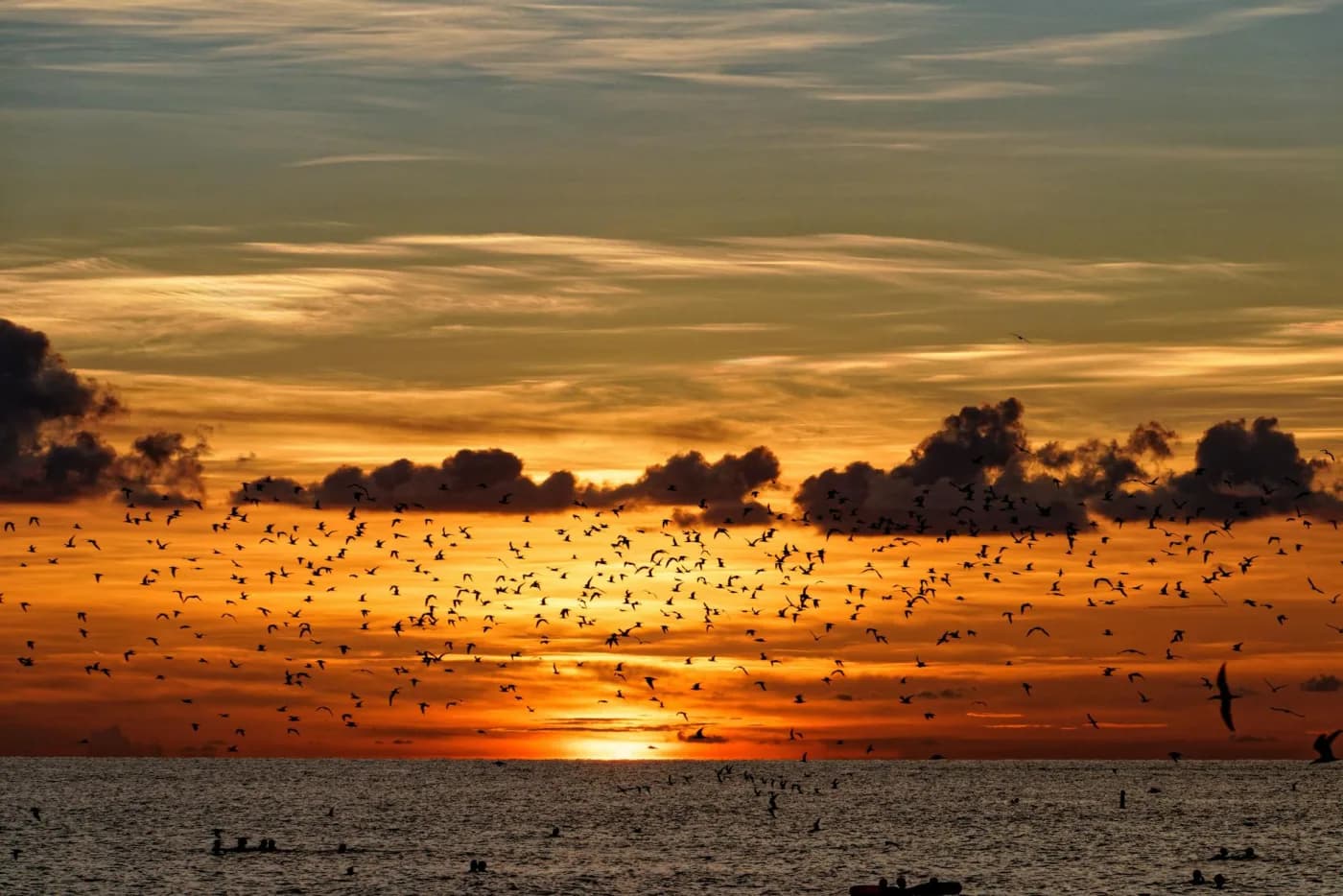 Web Hosting in Sarasota, FL - GRADAX